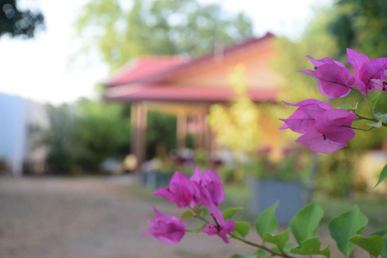 Gold Inn Dambulla Buitenkant foto